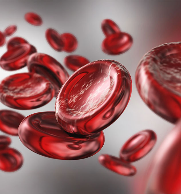 Hematologia e Banco de Sangue