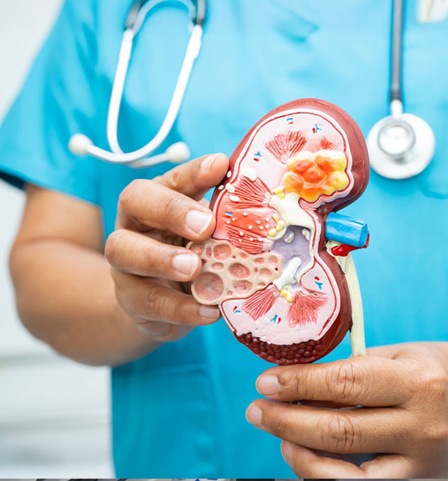 Terapia Renal Substitutiva